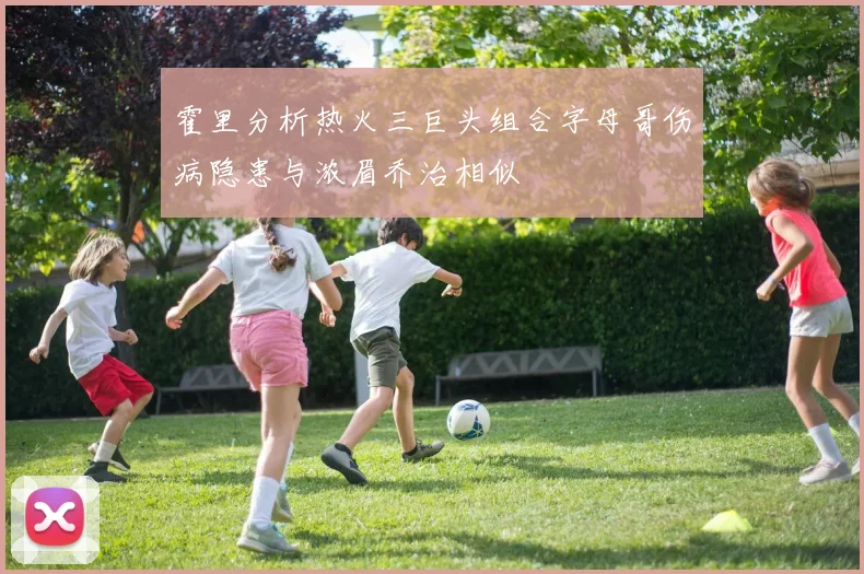 霍里分析热火三巨头组合字母哥伤病隐患与浓眉乔治相似