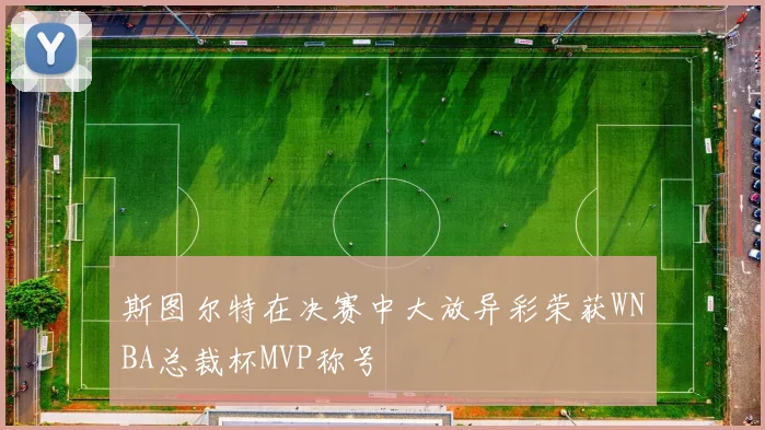 斯图尔特在决赛中大放异彩荣获WNBA总裁杯MVP称号