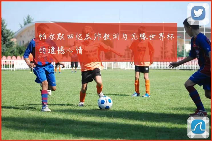 帕尔默回忆瓜帅教训与无缘世界杯的遗憾心情